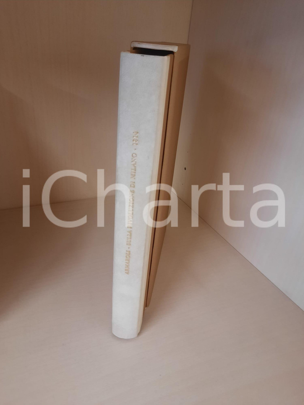 2008 Leopoldo ARMAROLI Sulla rivoluzione di Milano *Il Muro di Tessa 