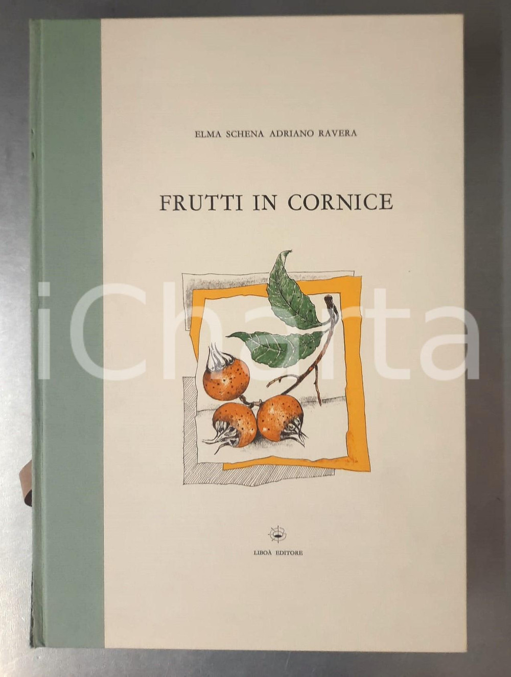 Libro, pubblicazione d epoca 2002 Elma SCHENA Adriano RAVERA Frutti in cornice Inc. Teresita TERRENO  LIBOA 1