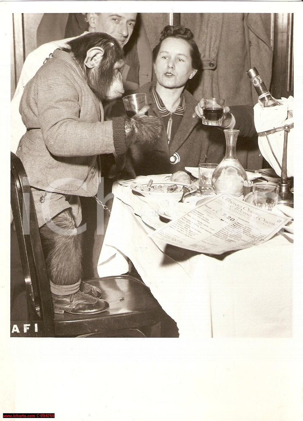 Fotografia d epoca originale 1941 TORINO Scimpanzé a tavola all Albergo Ristorante Oriente FOTOGRAFIA 1