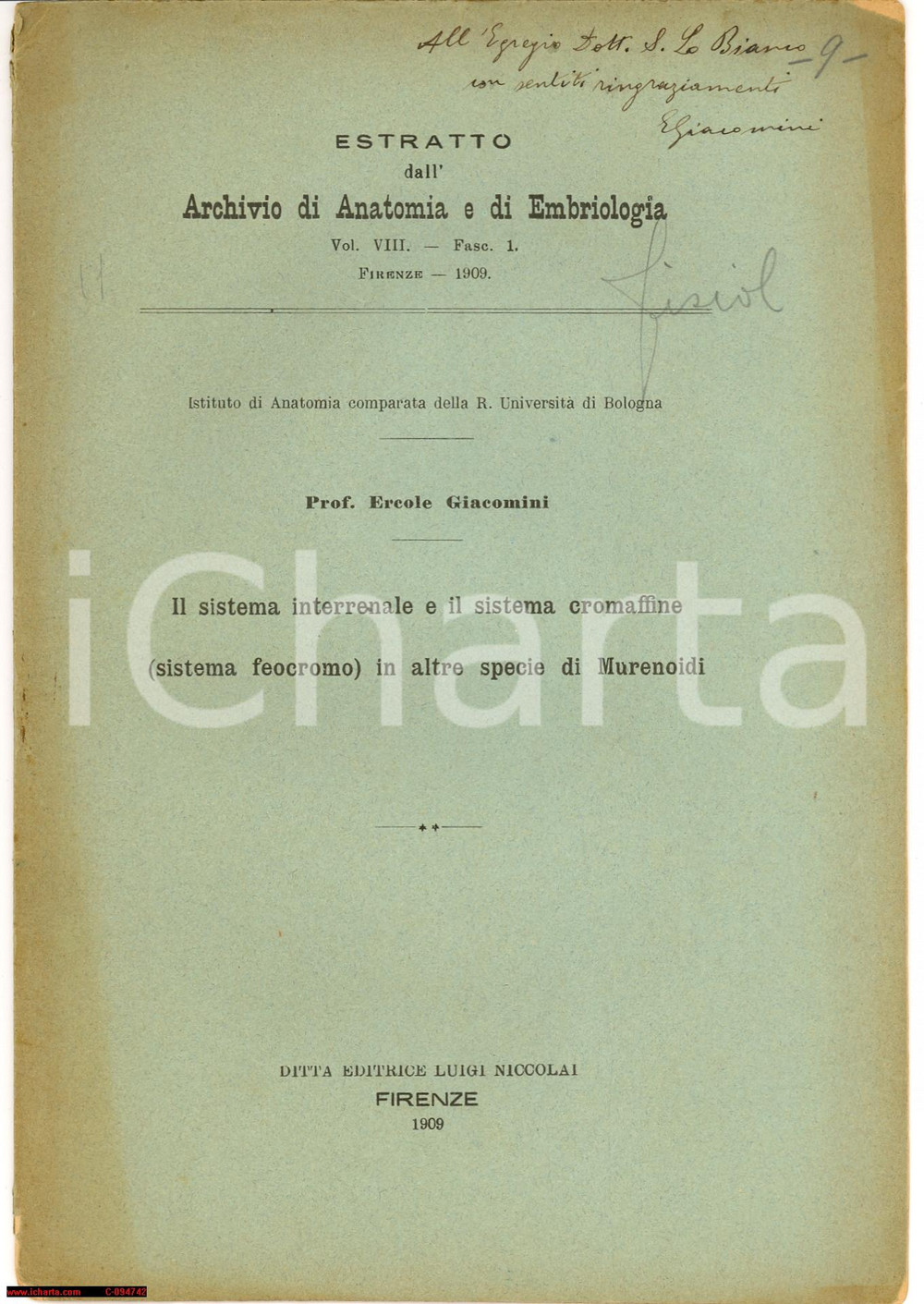 Oggetto da collezione cartaceo 1909 Ercole Giacomini Sistema interrenale cromaffine Murenoidi Dedica autografa 1