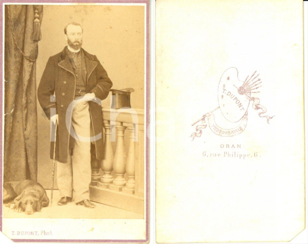 Fotografia d epoca originale 1870 ca ORAN ALGERIA Ritratto di gentiluomo con il cane Foto DUPONT 1
