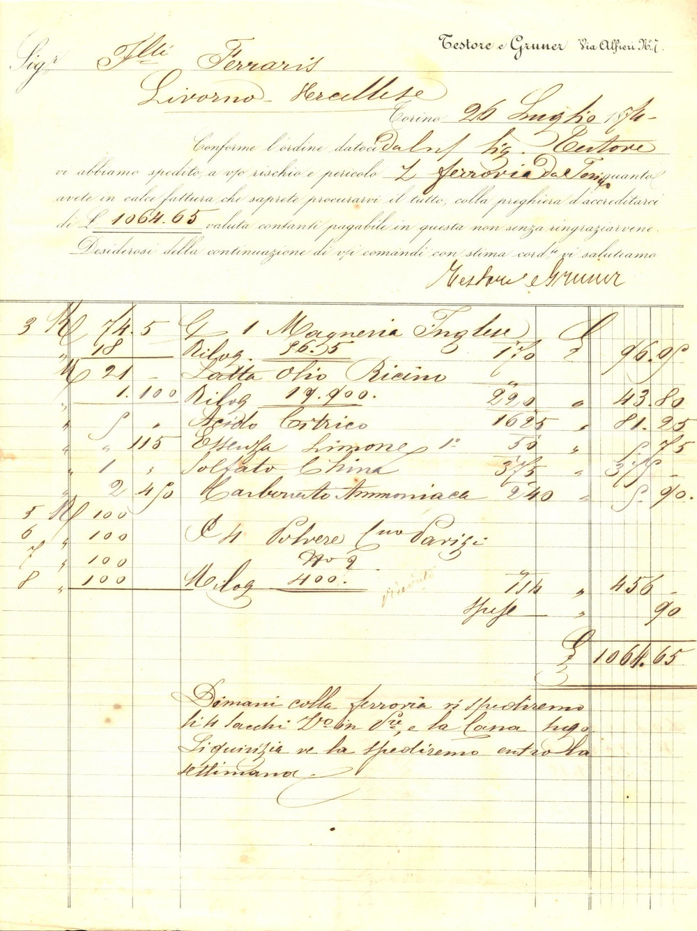 Documento originale, autentico 1874 TORINO Ditta TESTORE e GRUNER olio ricino acido citrico china Fattura 1