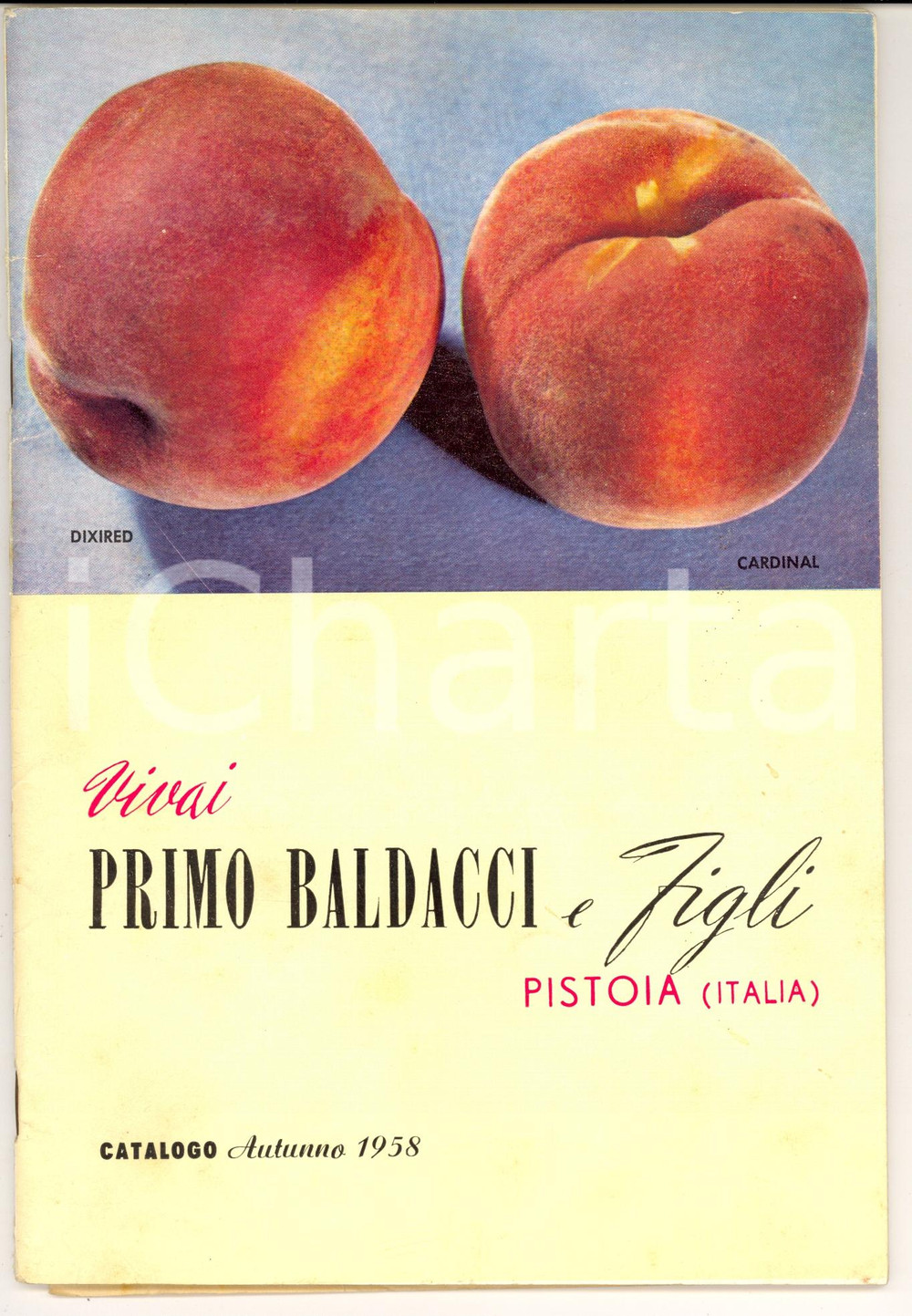 Materiale pubblicitario d’epoca 1958 PISTOIA Catalogo vivai PRIMO BALDACCI & Figli ILLUSTRATO 48 pp. 1