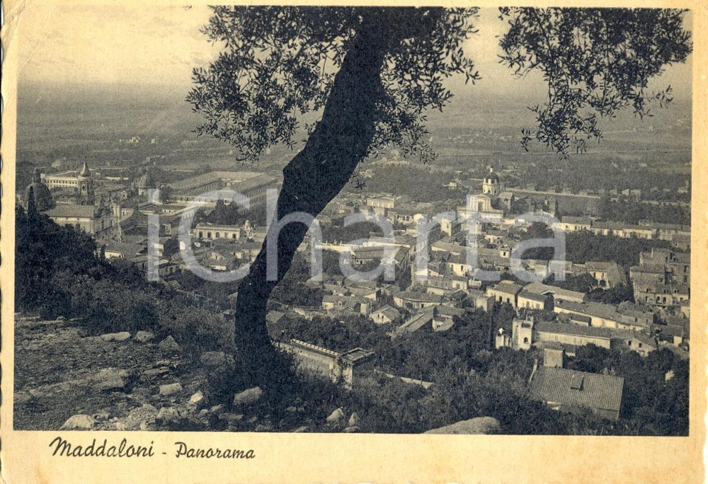 Cartolina originale da collezione 1939 MADDALONI CE Veduta panoramica generale Cartolina postale FG VG 1
