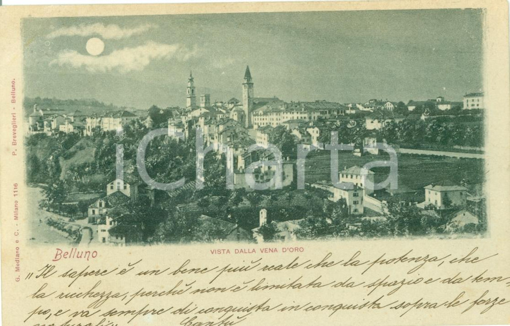 Cartolina originale da collezione 1900 ca BELLUNO Panorama cittÃ  dalla VENA D ORO Cartolina postale FP NV 1