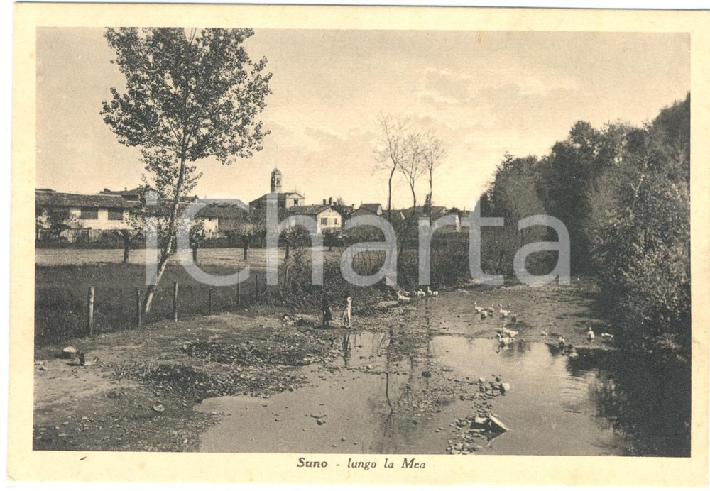 Cartolina originale da collezione 1939 SUNO NO LUNGO LA MEA Animata Cartolina FG NV 1