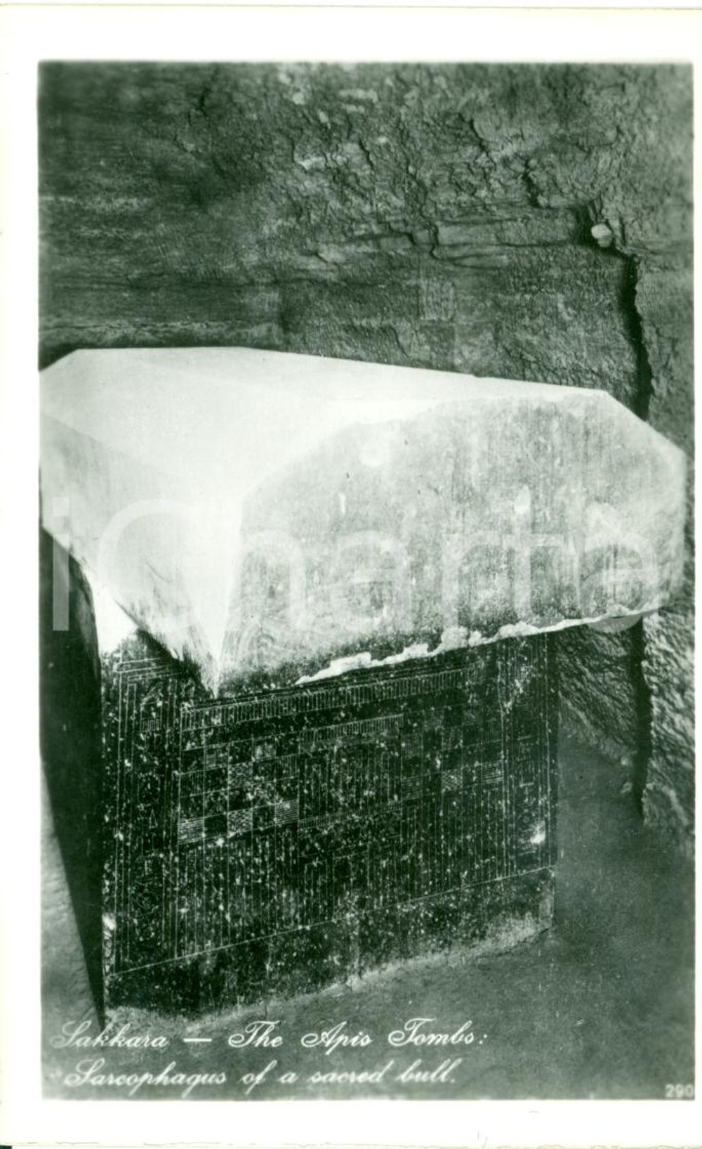Cartolina originale da collezione 1940 ca SAKKARA La tomba di APIS LEHNERT LANDROCK FP NV 1