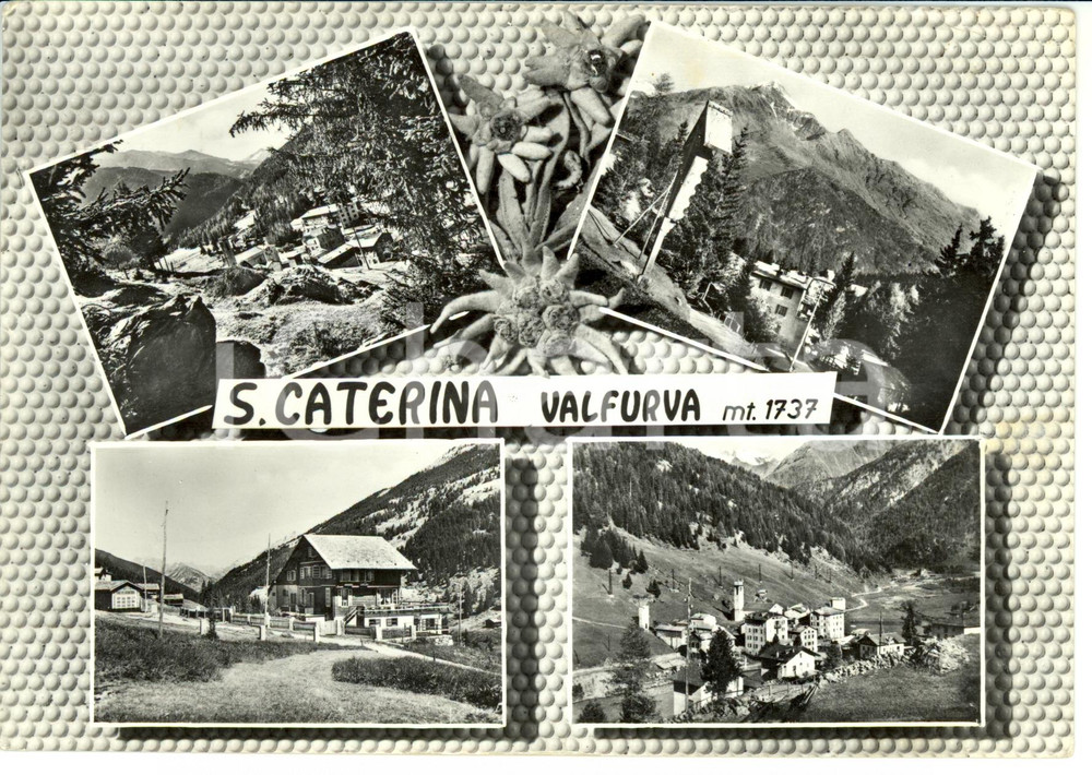 Cartolina originale da collezione 1961 SANTA CATERINA VALFURVA SO Vedutine del paese Cartolina FG VG 1