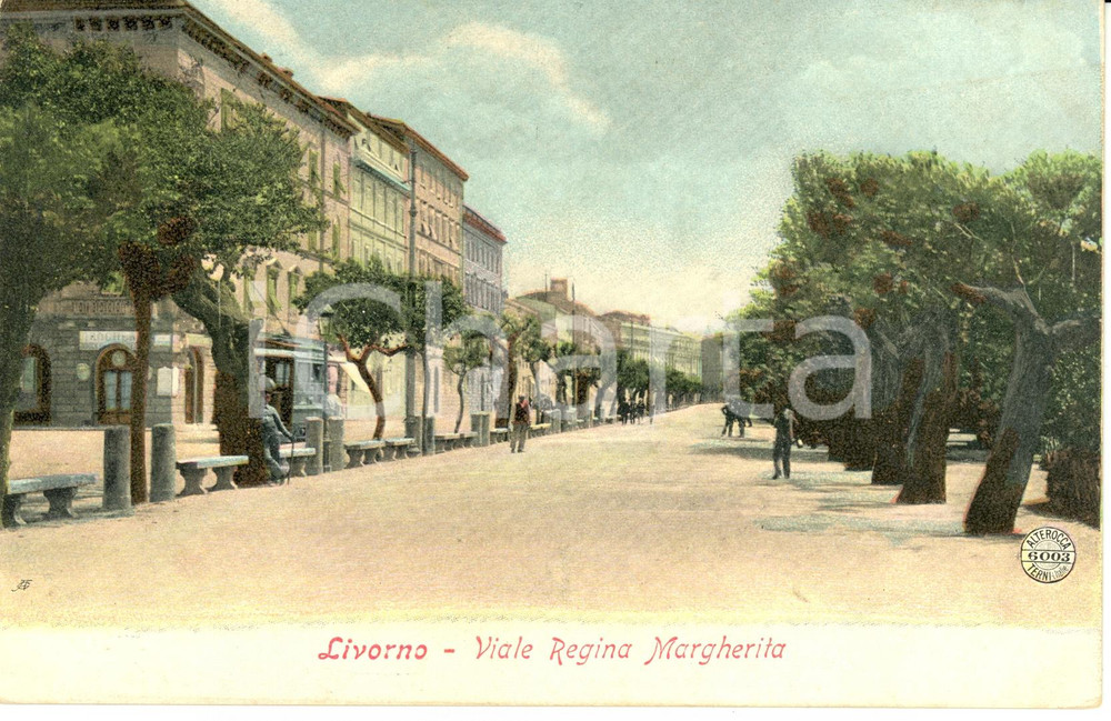 Cartolina originale da collezione 1910 ca LIVORNO Viale REGINA MARGHERITA Cartolina ANIMATA FP NV 1