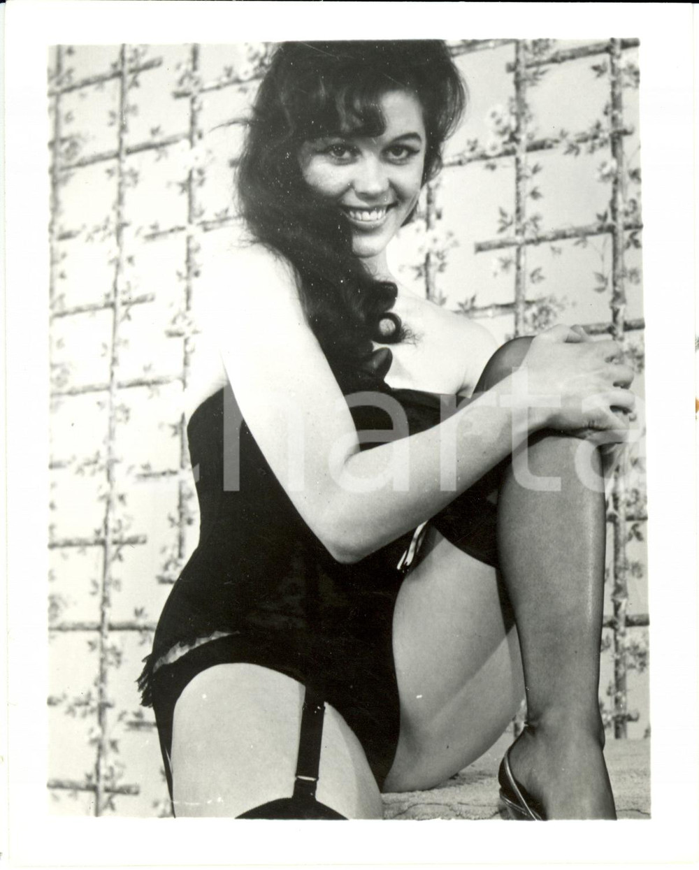 Fotografia d epoca originale 1965 ca USA  EROTICA VINTAGE Sexy woman with stockings suspenders PHOTO 1