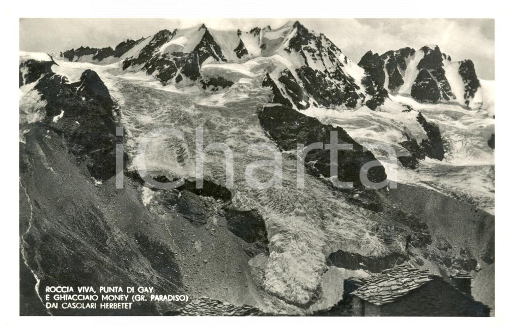 Cartolina originale da collezione 1947 GRAN PARADISO AO ROCCIA VIVA punta GAY ghiacciaio MONEY Cartolina FP VG 1