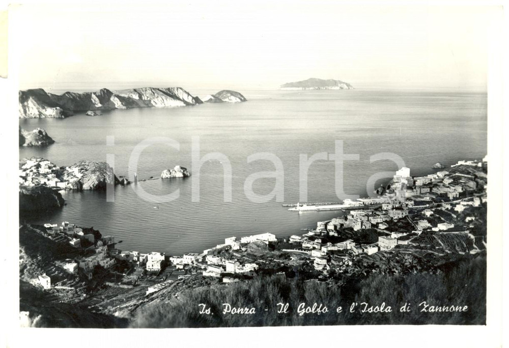 Cartolina originale da collezione 1955 ca ISOLA DI PONZA LT Golfo e Isola ZANNONE Cartolina postale FG VG 1