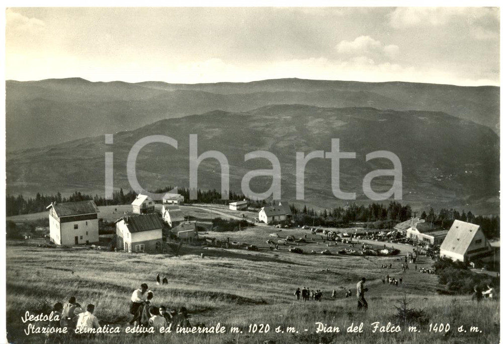 Cartolina originale da collezione 1958 SESTOLA MO Veduta DEL PIAN DEL FALCO Cartolina ANIMATA FG VG 1