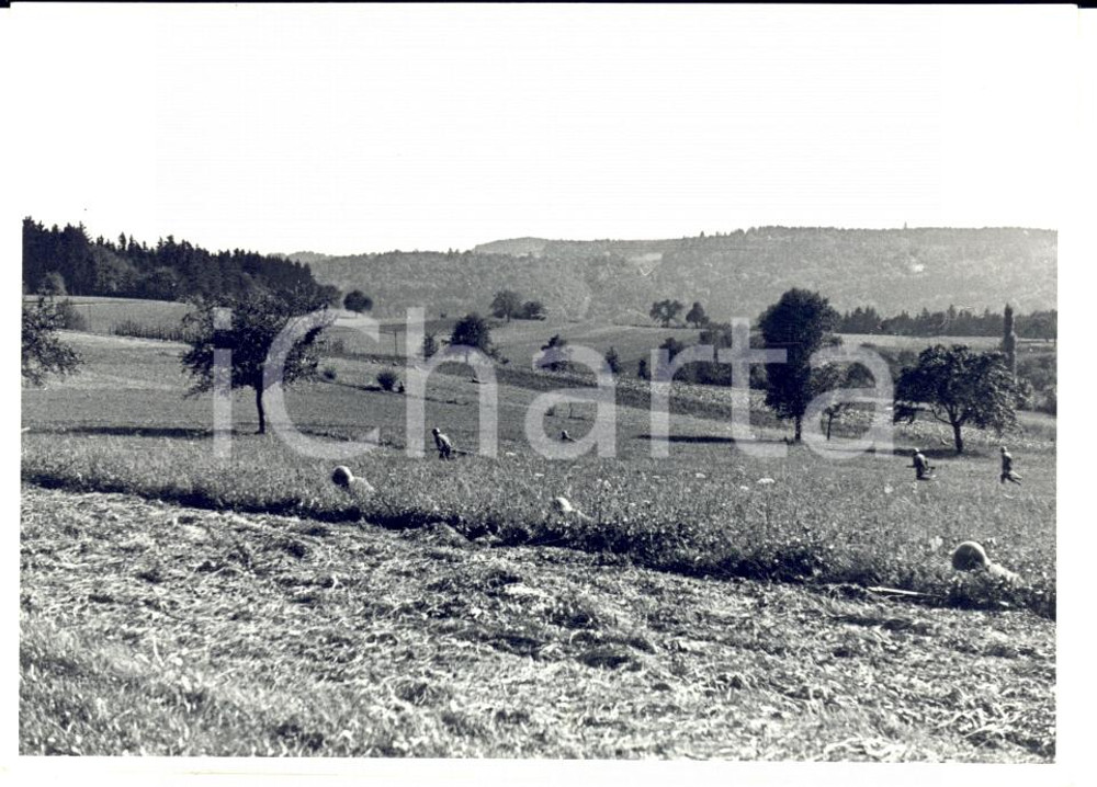 Fotografia d epoca originale 1936 OPFIKONZURICH SCHWEIZER ARMEE 127Â° Battaglione in esercitazione Foto 1