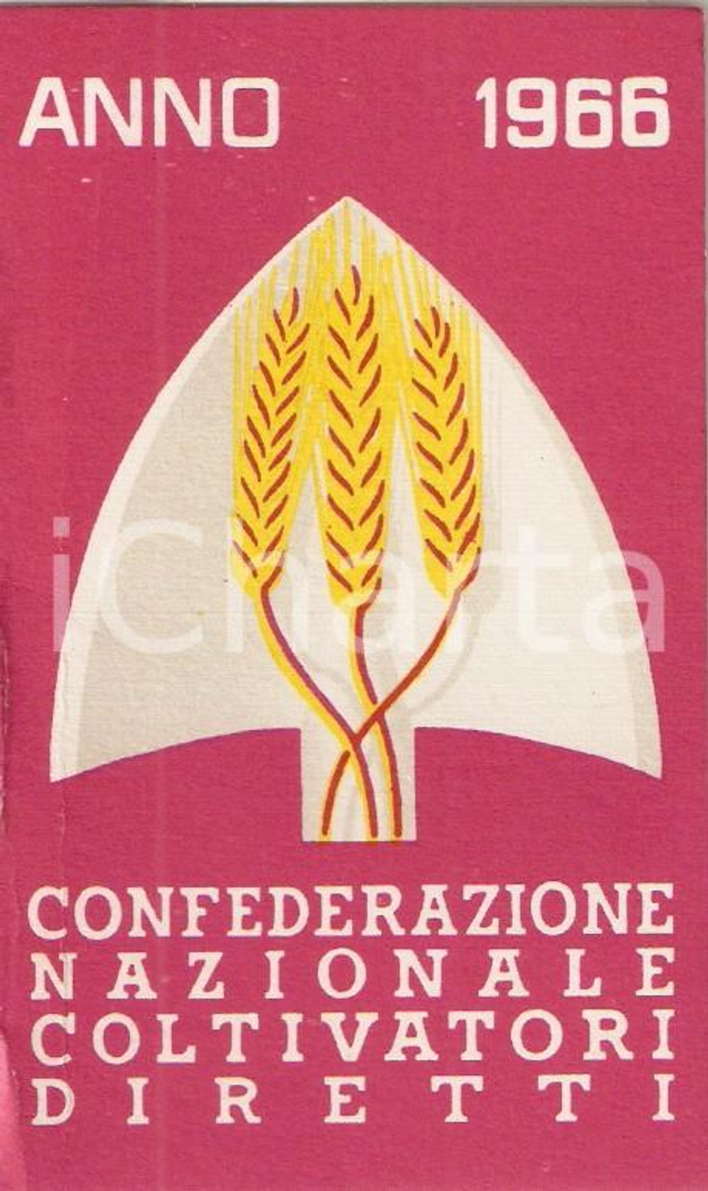 Oggetto da collezione cartaceo 1966 FOGLIZZO TO Tessera Confederazione Nazionale COLTIVATORI DIRETTI 1