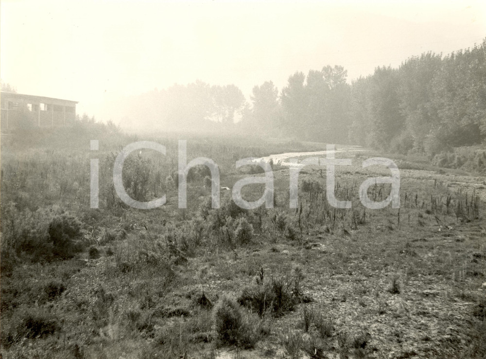 Fotografia d epoca originale 1982 BAGNARIA PV Torrente STAFFORA  L alveo tra alberi e un industria Foto 1