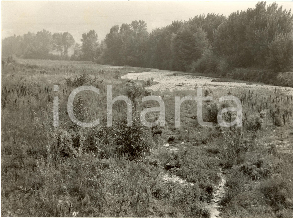 Fotografia d epoca originale 1982 BAGNARIA PV Torrente STAFFORA L alveo in secca Foto 24 x 17 cm 1