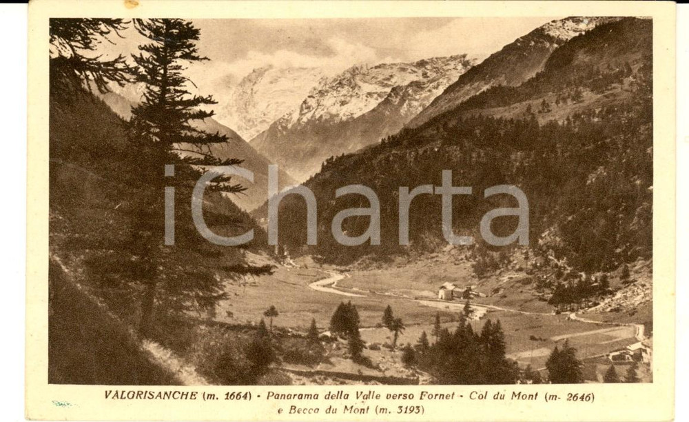 Cartolina originale da collezione 1930 ca VALGRISANCHE AO Panorama verso FORNET  COL DU MONT Cartolina 1
