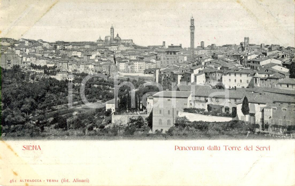 Cartolina originale da collezione 1900 ca SIENA Veduta aerea della cittÃ  dalla Torre dei SERVI Cartolina FP NV 1