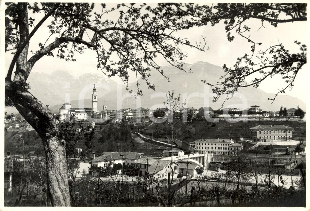 Cartolina originale da collezione 1949 BELLUNO Veduta panoramica della cittÃ  con il Ponte della VITTORIA FG VG 1