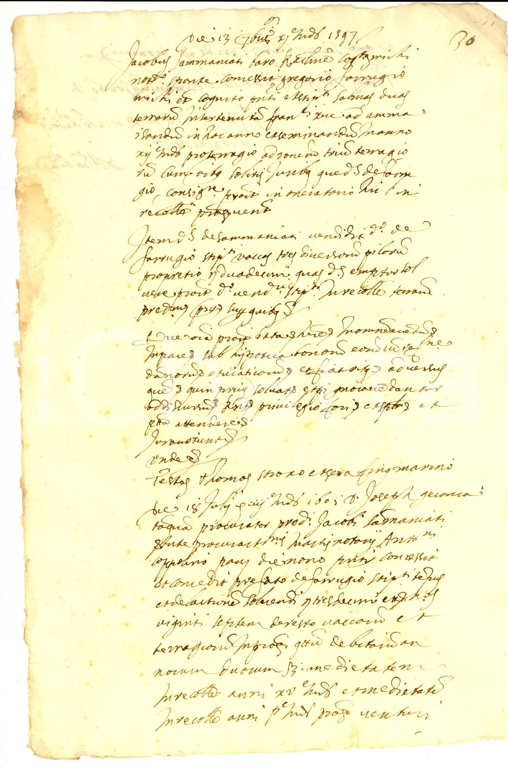 Documento originale, autentico 1597 PALERMO Concessione terra Jacopo SAMMANIATI e vendita mucche Manoscritto 1
