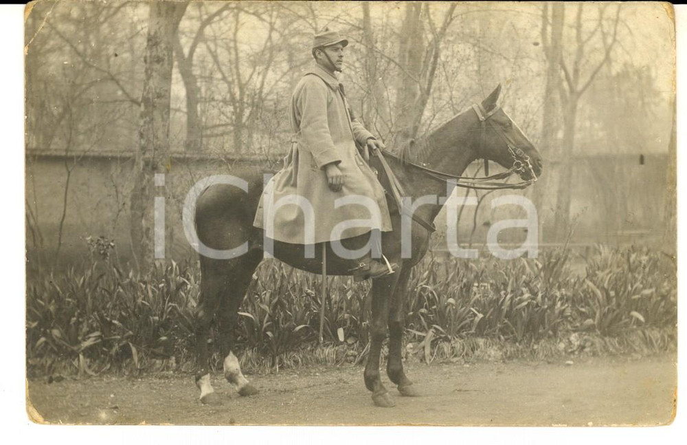Fotografia d epoca originale 1915 ca WW1 FRANCIA Ufficiale posa a cavallo in un giardino Foto FP 1