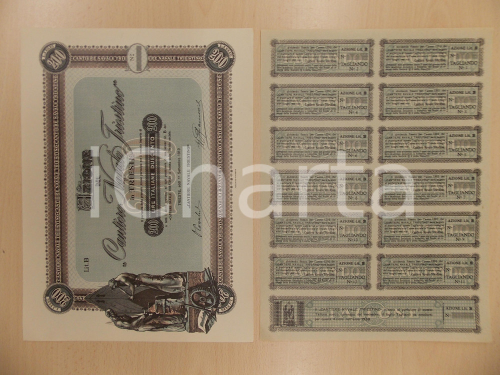 Oggetto da collezione cartaceo 1919 TRIESTE Cantiere Navale Triestino Certificato azionario con tagliandi 2 1