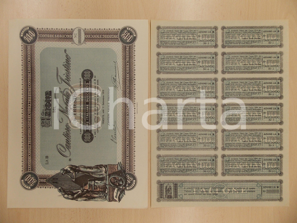 Oggetto da collezione cartaceo 1919 TRIESTE Cantiere Navale Triestino Certificato azionario con tagliandi 4 1