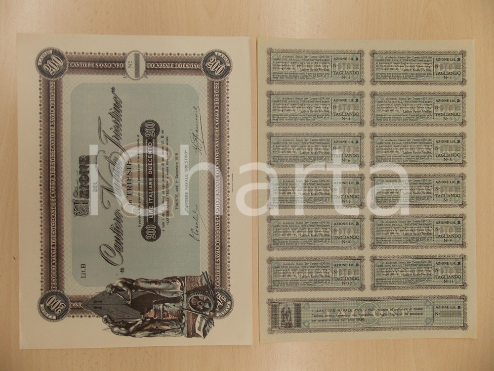 Oggetto da collezione cartaceo 1919 TRIESTE Cantiere Navale Triestino Certificato azionario con tagliandi 5 1