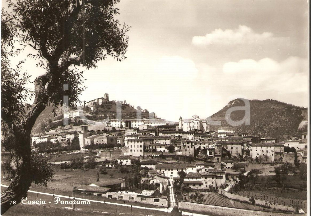 Cartolina originale da collezione 1958 CASCIA PG Panorama con Santuario di Santa Rita Cartolina FG VG 1