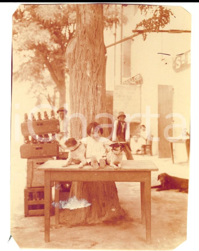 Fotografia d epoca originale 1920 ca PROVENCE Bambina con due cagnolini Foto VINTAGE 8x10 cm 1
