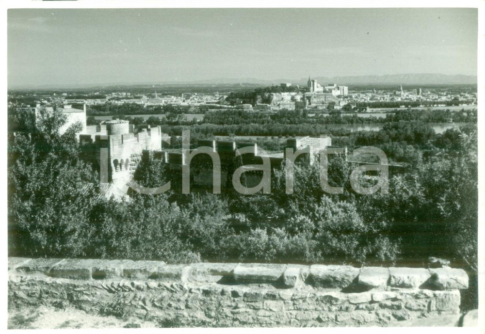 Fotografia d epoca originale 1955 ca AVIGNON FRANCE Panorama della cittÃ  con cattedrale Fotografia 1