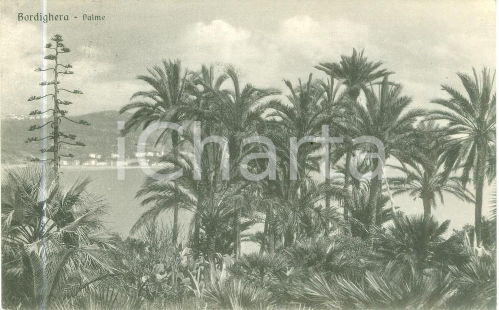 Cartolina originale da collezione 1938 BORDIGHERA IM Panorama del golfo visto dalle palme Cartolina FP VG 1