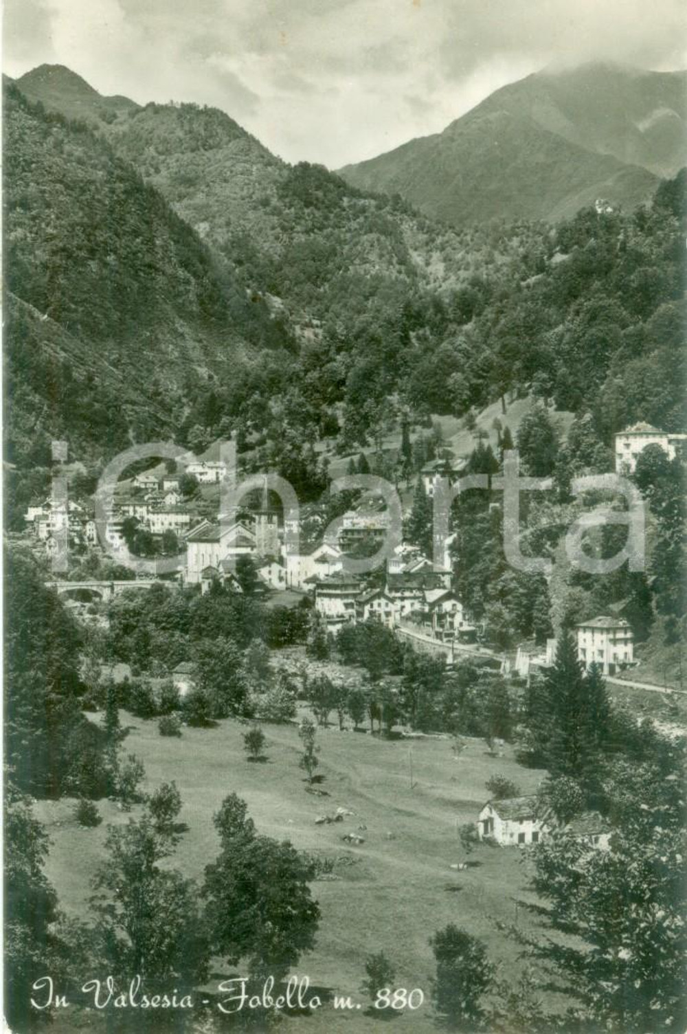 Cartolina originale da collezione 1951 FOBELLO VC Panorama del paese in VALSESIA Cartolina FP VG 1