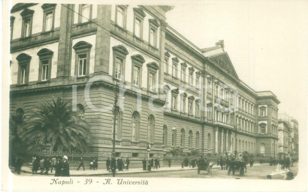 Cartolina originale da collezione 1910 ca NAPOLI Calessi in transito davanti alla Regia Università Cartolina FP NV 1