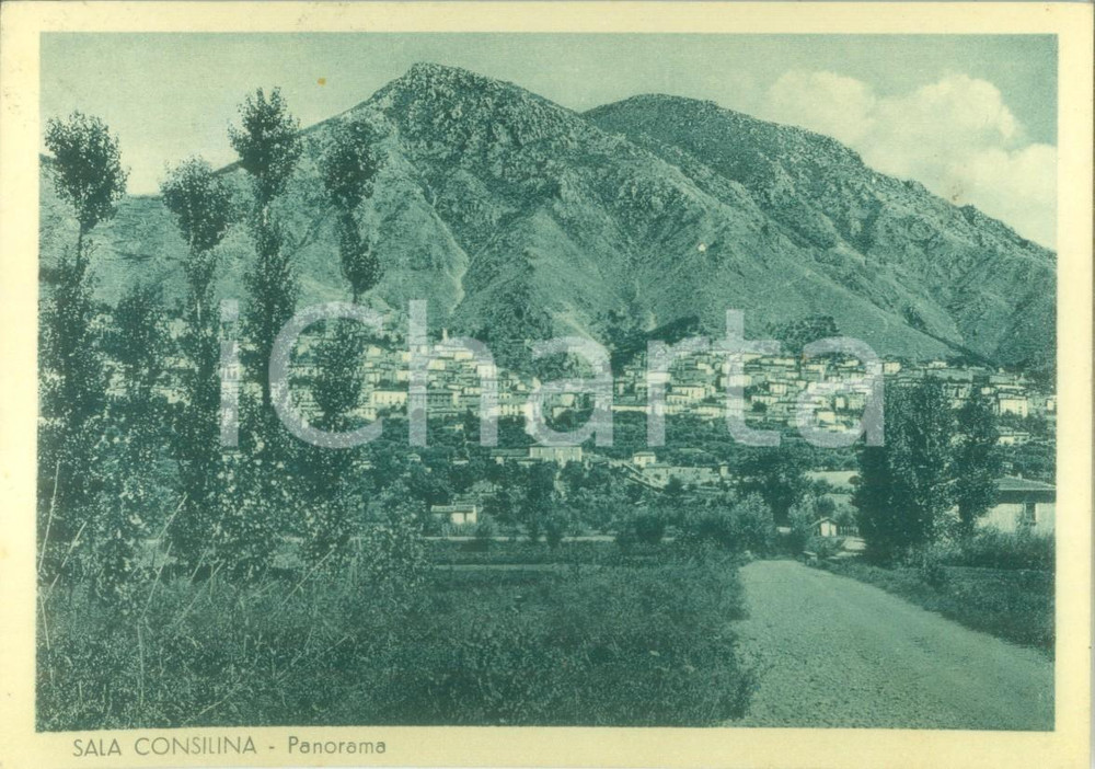 Cartolina originale da collezione 1956 SALA CONSILINA SA Panorama con i monti Cartolina FG VG 1