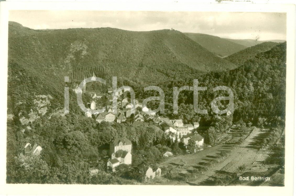 Cartolina originale da collezione 1954 BAD BERTRICH GERMANIA Panorama del paese con i boschi Cartolina FP NV 1