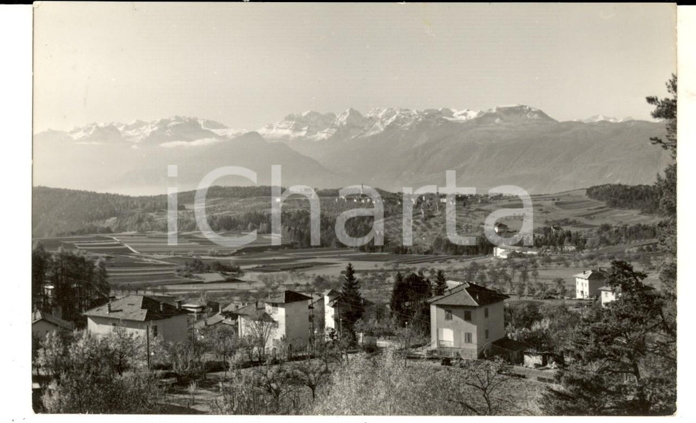 Cartolina originale da collezione 1964 CAVARENO TN Scorcio panoramico con il BRENTA Cartolina FG VG 1