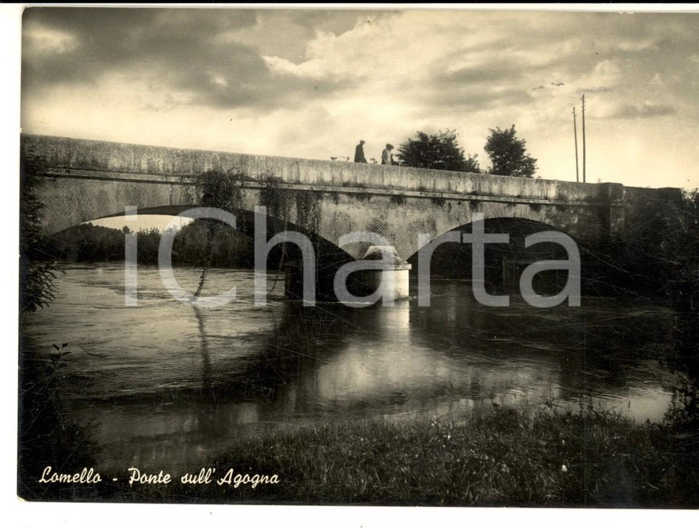 Cartolina originale da collezione 1955 LOMELLO PV Veduta del Ponte sull AGOGNA Cartolina ANIMATA FG VG 1