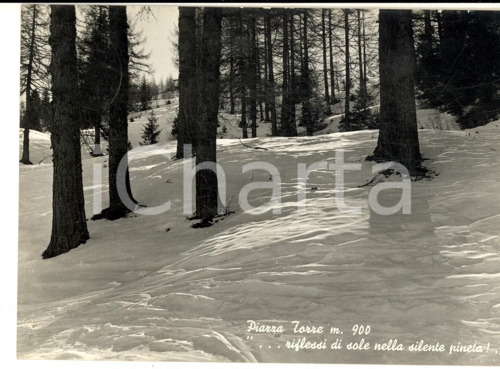 Cartolina originale da collezione 1954 PIAZZATORRE BG Veduta con la pineta innevata Cartolina postale FG VG 1
