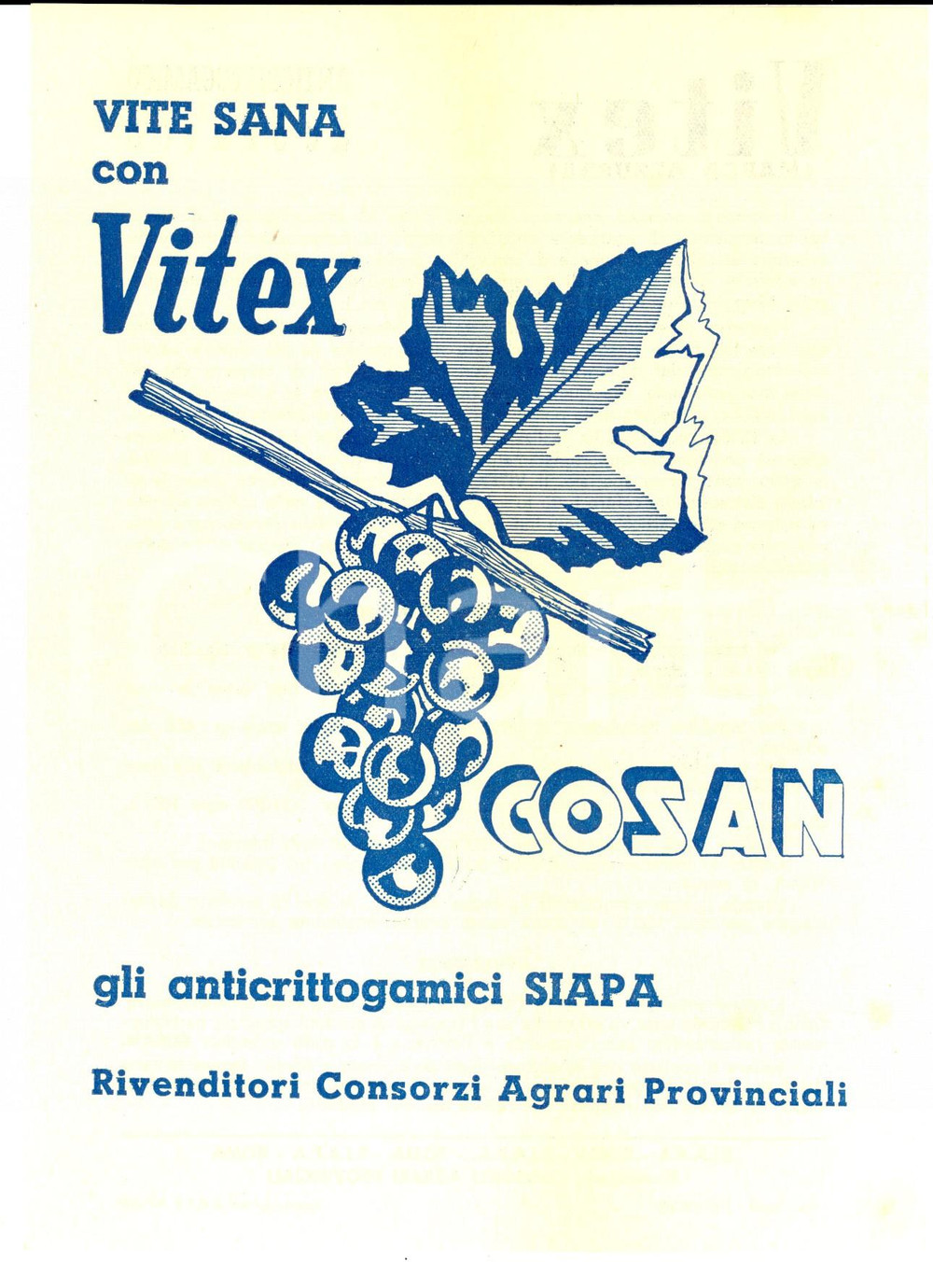 1959 ROMA Ditta SIAPA - VITEX Anticrittogamico *Volantino pubblicitario