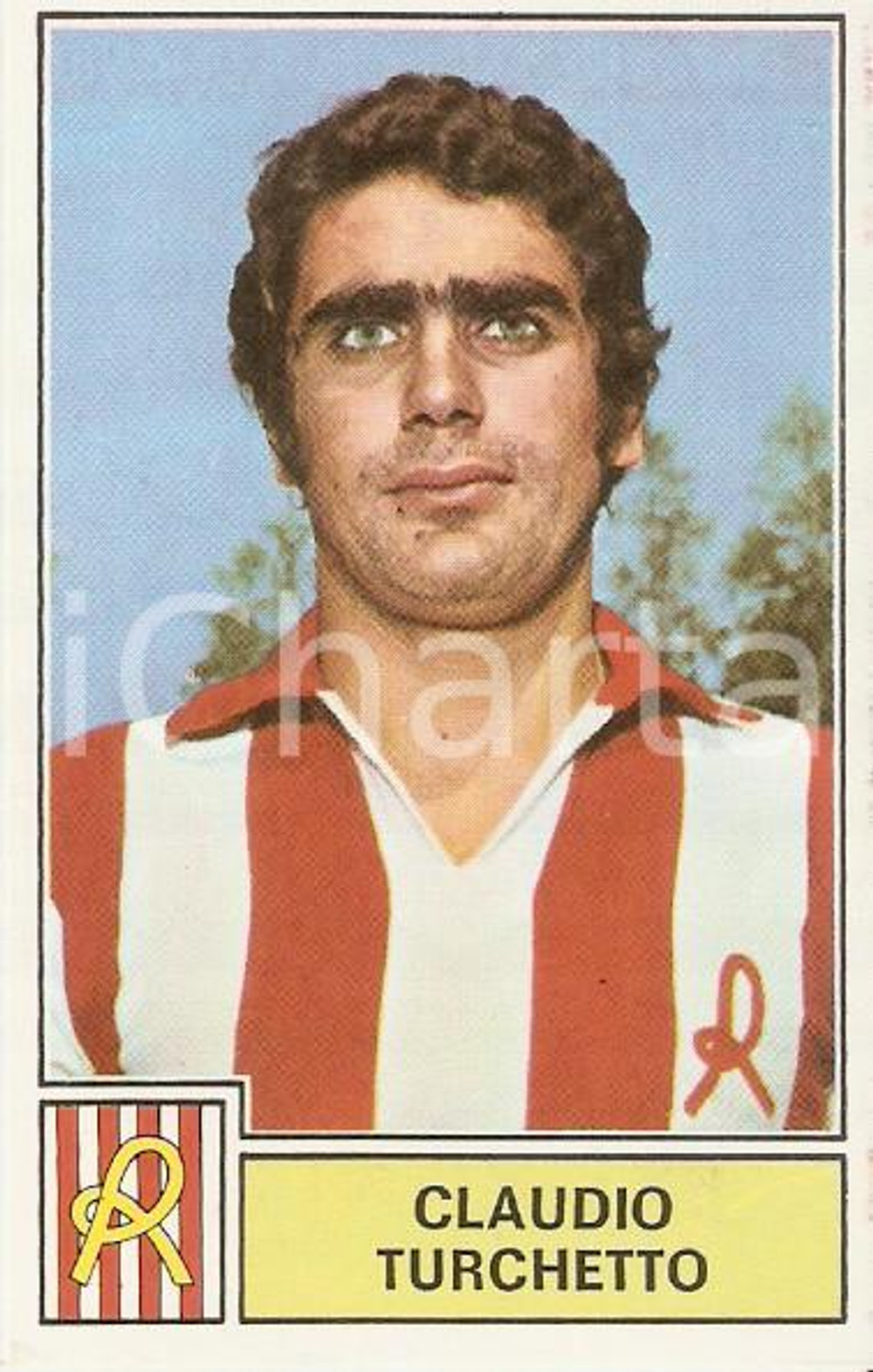 PANINI CALCIATORI 1971 1972 Figurina Claudio TORCHETTO Serie A Lanerossi VICENZA