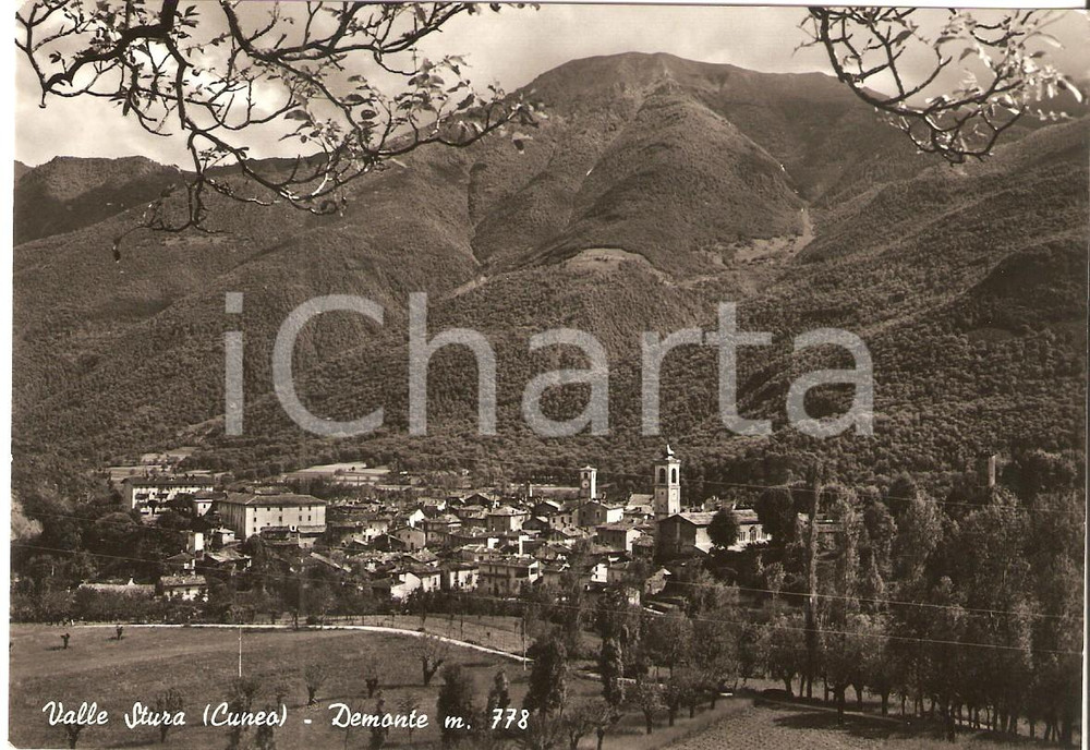Cartolina originale da collezione 1956 DEMONTE CN Panorama del paese VALLE STURA Cartolina FG VG 1