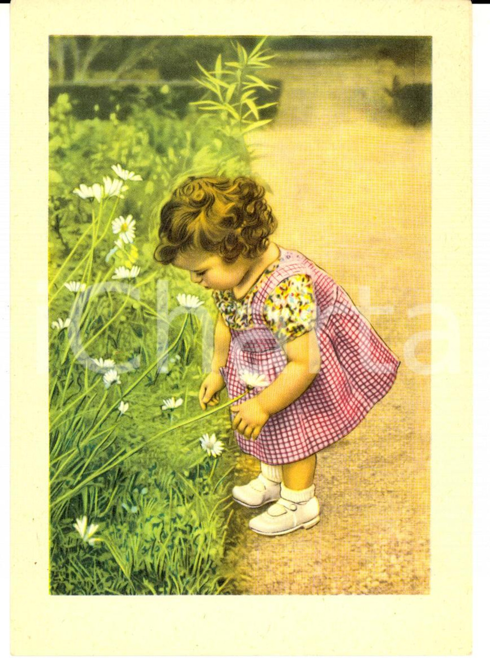 1940 ca INFANZIA Bambina raccoglie margherite *Cartolina postale VINTAGE FG NV