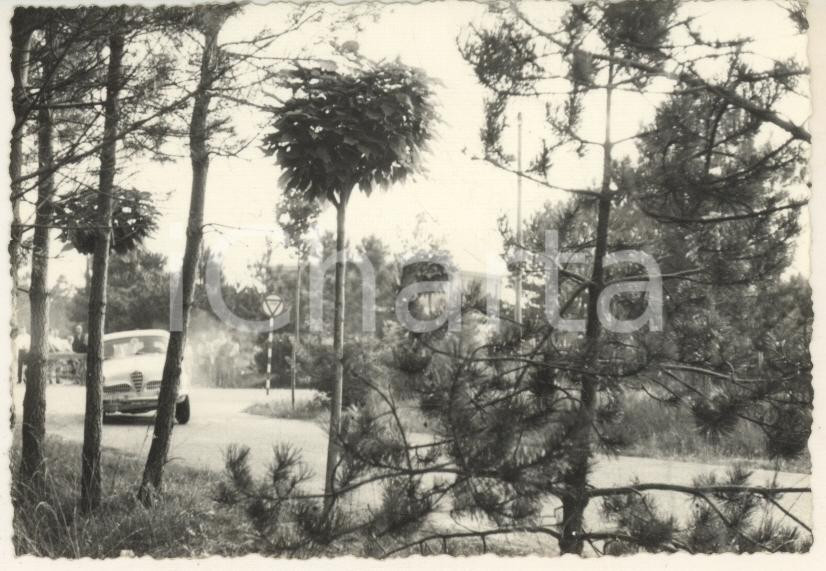 Fotografia d epoca originale 1965 ca RALLY Alfa Romeo JOLLY CLUB Gara tra i pini Foto 10x7 cm 1