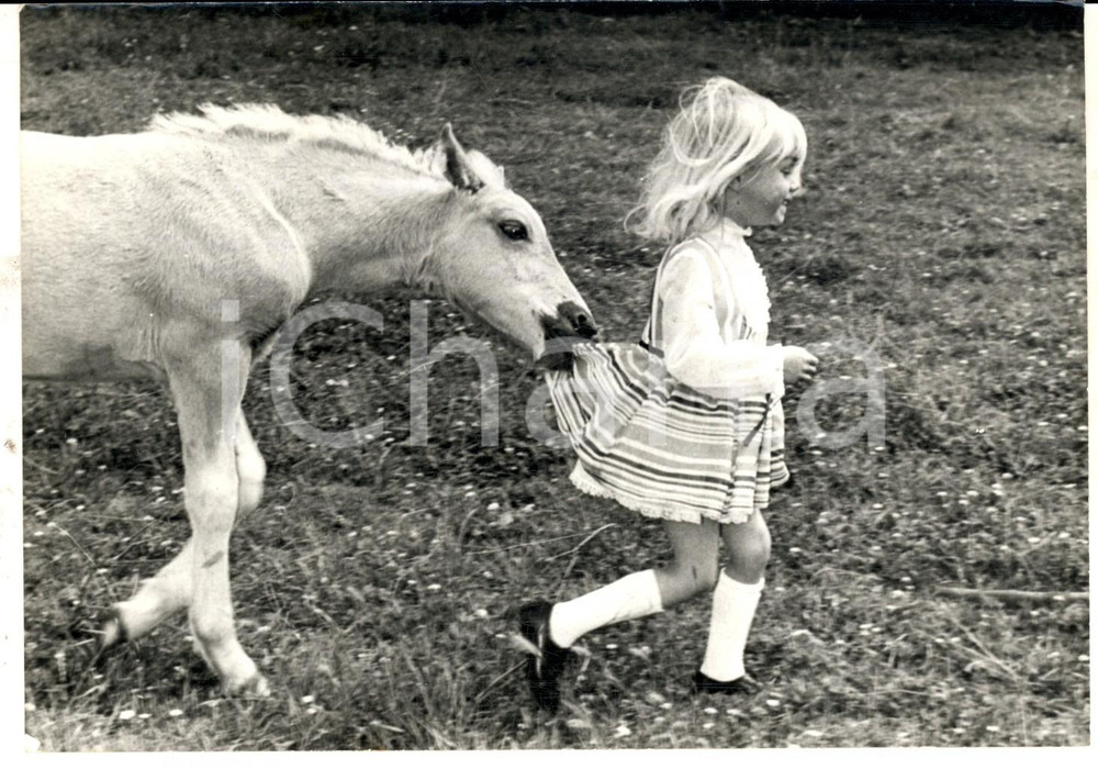 Fotografia d epoca originale 1970 ENGLAND Amicizia tra il pony Bill e la bambina Debby Foto CURIOSA 18x13 1