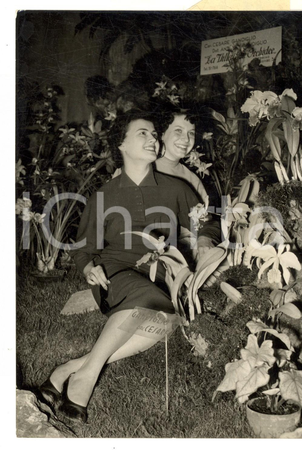 Fotografia d epoca originale 1954 TORINO PALAZZO REALE Due concorrenti alla Mostra dei Fiori Foto 14x18 cm 1