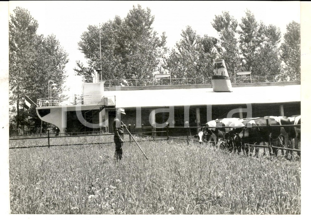 Fotografia d epoca originale 1964 ANNICCO CR Osvaldo BOTTINI e la sua stalla a forma di nave Foto 18x13 1