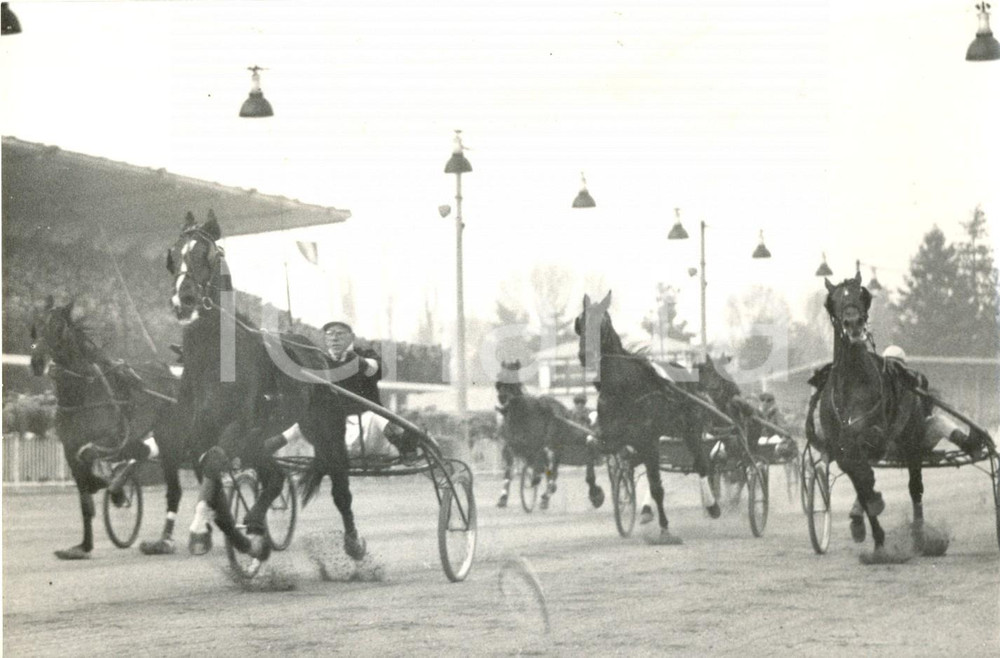 Fotografia d epoca originale 1954 MILANO Ippodromo San Siro  G.P. di Trotto  Arrivo vittorioso di NELUMBO 1