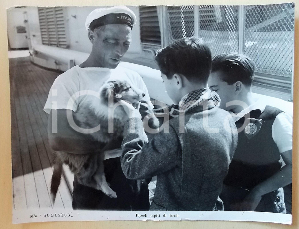 Fotografia d epoca originale 1950 ca ITALIA M/N AUGUSTUS Bambini accarezzano un cucciolo di cane Foto 40x30 1